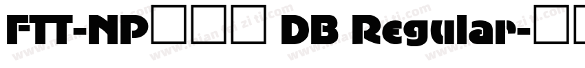 FTT-NPロダン DB Regular字体转换